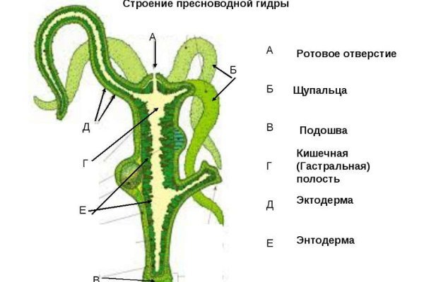 Только через тор кракен
