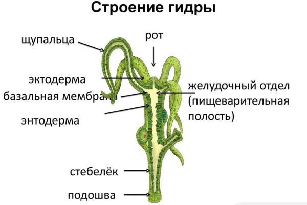 Кракен это даркнет