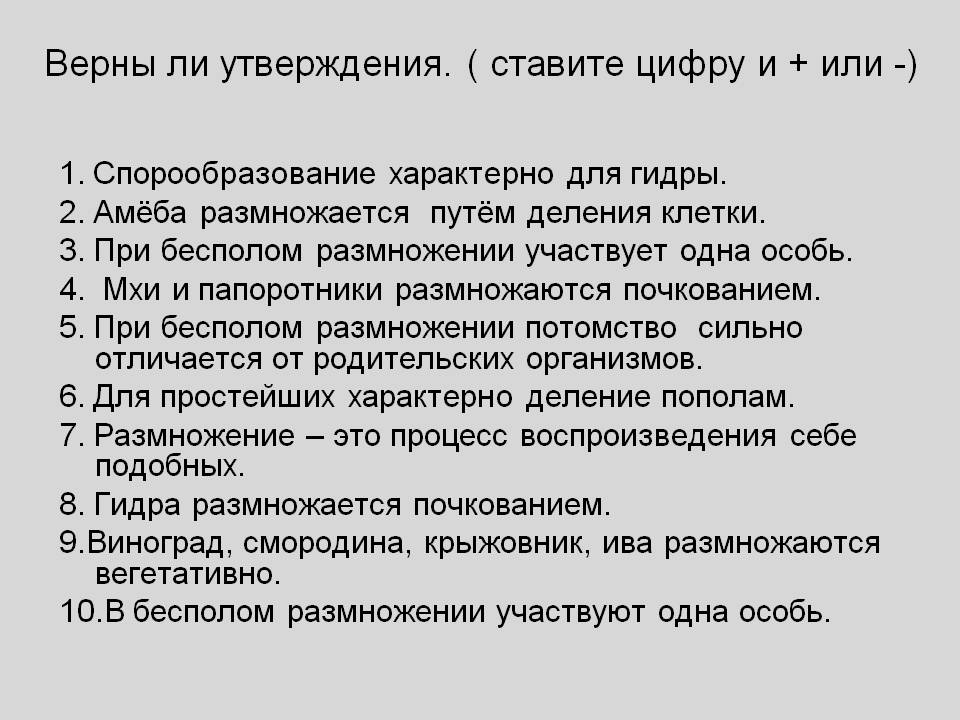 Что за маркетплейс кракен