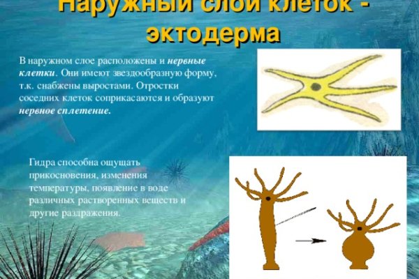Кракен не грузит