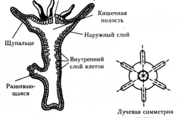 Kra33.at Вход на сайт главная страница