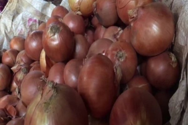 Почему не получается зайти на кракен