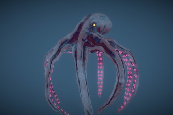 Kraken 13at