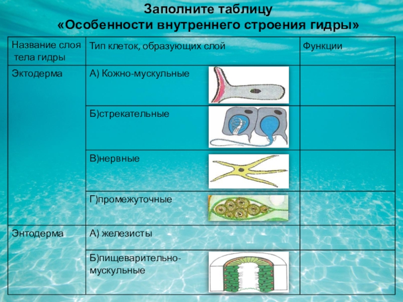 Кракен ссылка kra