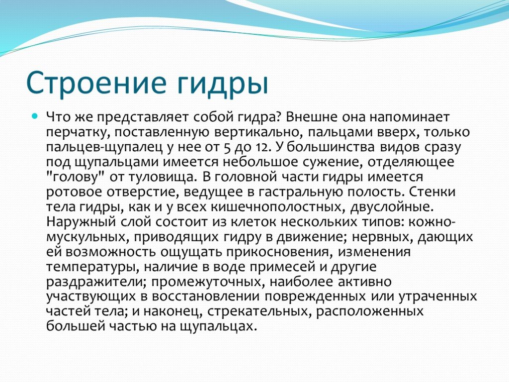 Клир ссылка на кракен 2025
